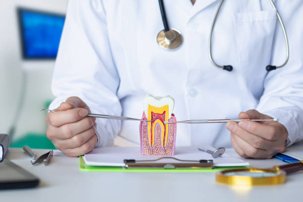 Best Pediatric Emergency Dentist in Eastlake, OH